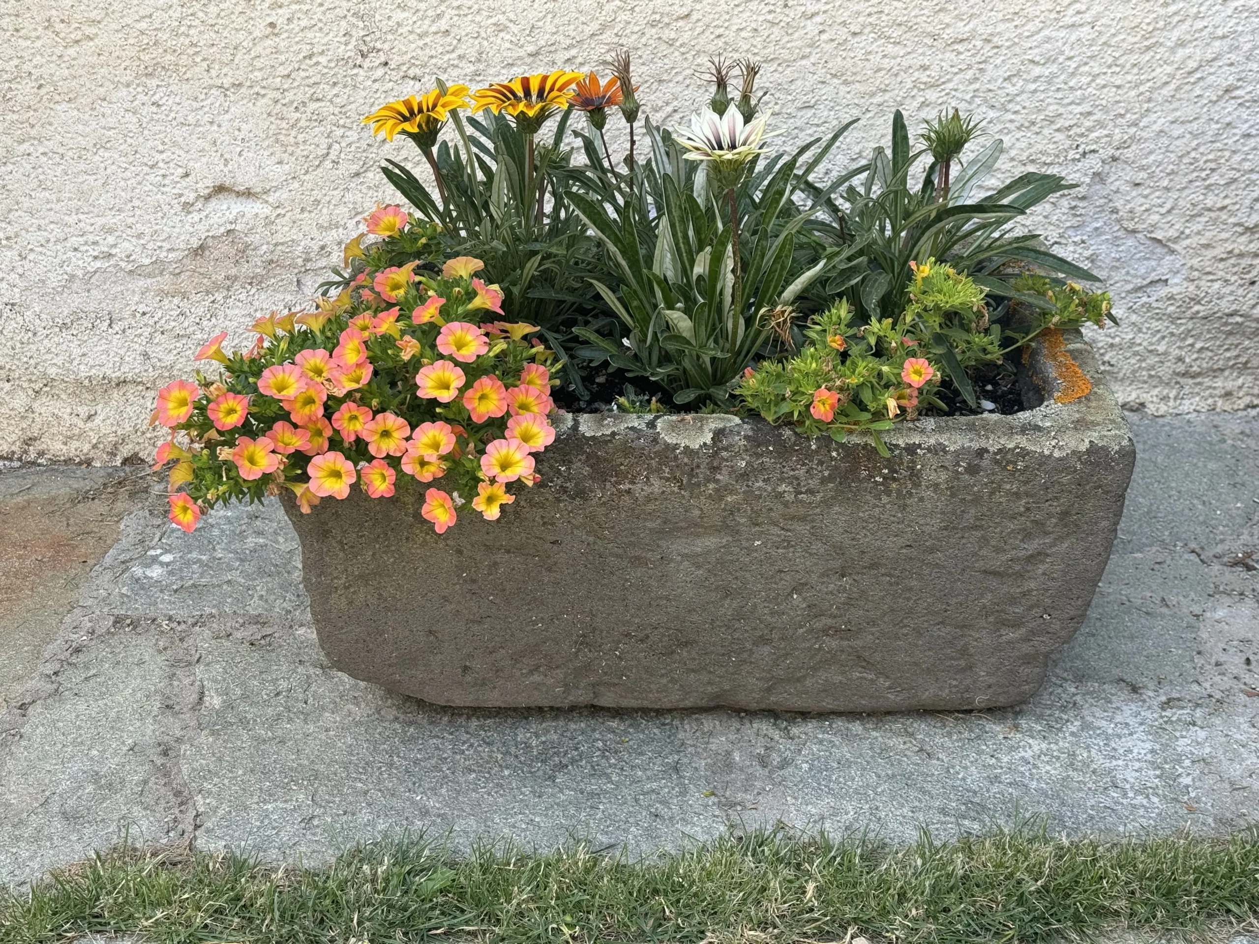 fleurs-location-manjula-claree col montagne location chalet appartement Manjula