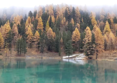 melezes-automne-lac-randonnee-nature